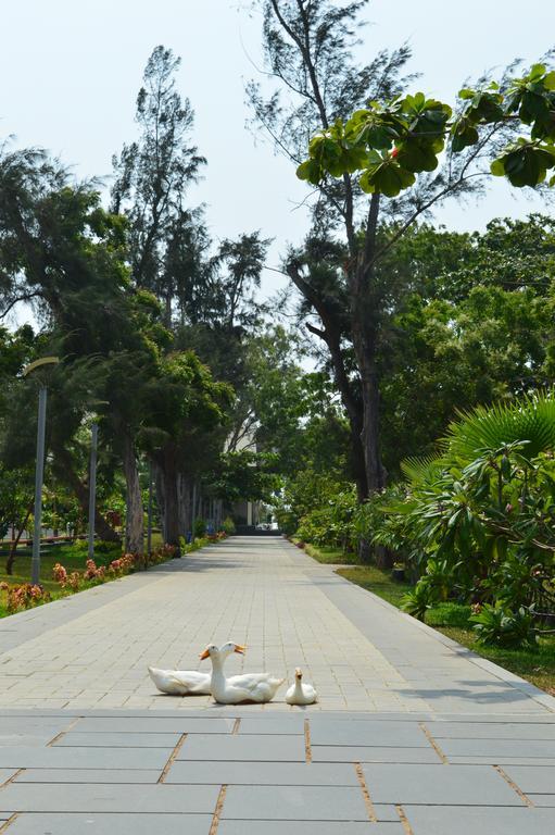 Welcomhotel By Itc Hotels, Kences Palm Beach, Mamallapuram Dış mekan fotoğraf